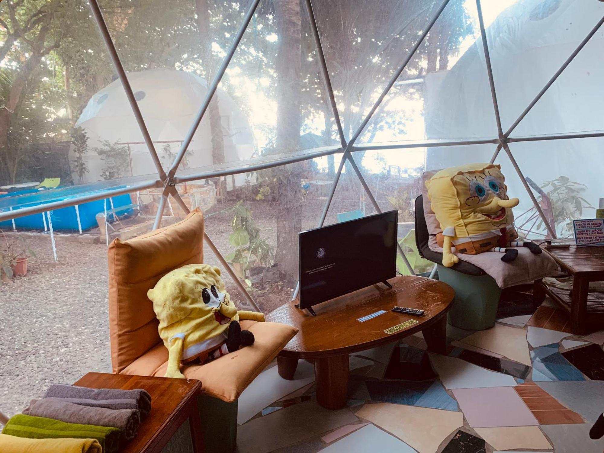 Glamping Dome Dauin Beach Resort Esterno foto